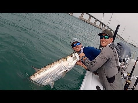 TARPON Fishing at FLORIDA KEYS Bridges