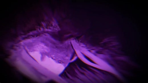 Exploring the Depths of Re:Zero: A Psychological Journey