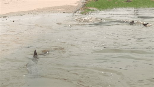 Road closures across northeast Wisconsin due to flooding
