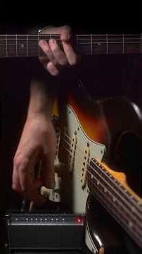 Dirty riffs through the D Tone SSS - Tabs up on Patreon 👌#fender #stratocaster #precbs