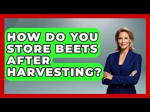How Do You Store Beets After Harvesting? - The World of Agriculture