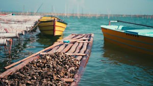 3.2K views · 43 reactions | Know how the bamboo raft technology...