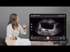 Functional Pelvic Floor Assessment - Supine