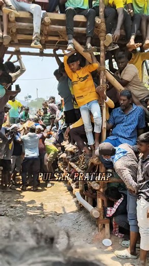 Pulsar Prathap on Instagram: "💥🦁😈 ❤️‍🔥𝐖𝐞𝐥𝐜𝐨𝐦𝐞 𝐓𝐨 𝐎𝐮𝐫 𝐏𝐚𝐠e🎀 🥰 @pulsar_rani_groups_official Daily Post🥳 ⚡𝗔𝗗𝗠𝗜𝗡 :@pulsar_prathap_46 ✨ 🇴 🇼 🇳 🇪 🇩 🇮 🇹 🇸 ❤️ 𝐬𝐮𝐩𝐩𝐨𝐫𝐭⚡ 👍🏻..𝐥𝐢𝐤𝐞⚡ 🫂..𝐬𝐡𝐚𝐫𝐞⚡ ❤‍🔥..𝐟𝐨𝐥𝐥𝐨𝐰..⚡ @pulsar_rani_groups_official ..🙏💥😍.. 🇭 🇦 🇸 🇹 🇷 🇦 🇬 🇸 👇 #eruthukattu #bull_race#support #manjuvirattujallikattu_kaalai eruthukattu_videos krishnagiri eruthukattupics black instacool instafollow waiting savenativebreeds trending bulls 