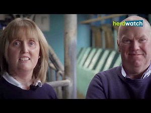 Farm Smart - Wexford dairy farm using Herdwatch for award-winning herd