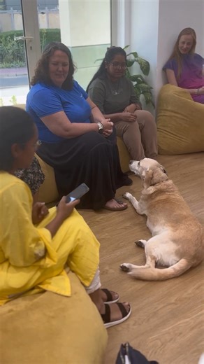 1.1K views | Did you know that reading to dogs is proven to lower...