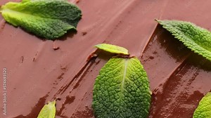 Close up of chocolate mint, rotation in circle. fresh green mint leaves on chocolate on a rotating 360 stack. selective focus. chocolate background with mint
