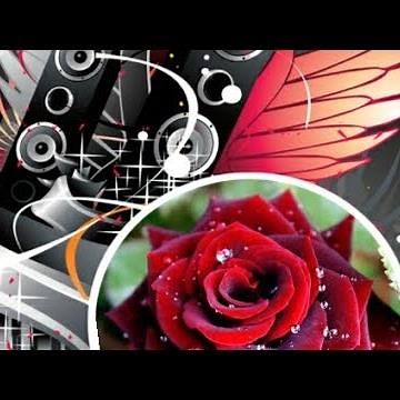 Гуллар расми