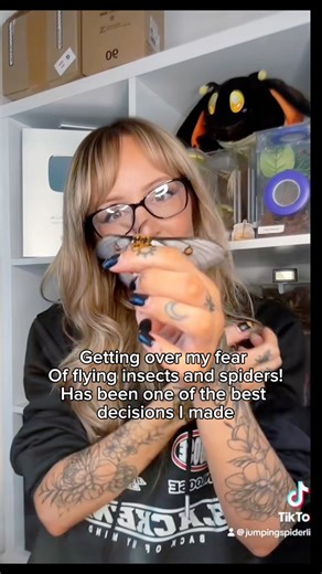 What is your biggest fear? Phobia? I spent half my life terrified of spiders/flying insects and I can honestly say deciding to work on that fear changed my life! I would not be in this position in life if I hadn’t made that decision. I owe a lot to these moths and spiders 🕷️ Would you ever try get over a fear? #Faceyourfear #phobias #moths | Jumping spider & Moth life