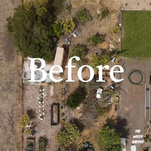 🌱 WIN a Permaculture Garden Makeover valued at $29,000 & Grow Your Own Food! (Australia only) 🌱 Imagine growing your own food forest… fruit trees, fresh veggies, buzzing bees, rich compost, honey on tap and a garden that feeds you from our Weedy Garden Makeover Competition! 🍎🥕🐝 Valued at $29,000 - you'll win a Weedy Garden designed specifically to your land and climate. We'll even come and build it with a group of Weedy Volunteers - anywhere in Australia! Whether you’ve got: 🏡 A tiny backy