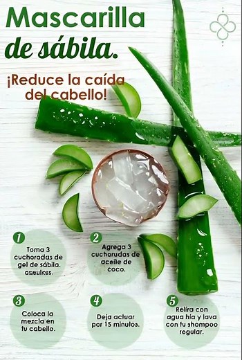 Mascarilla de Sábila para Fortalecer el Cabello y Prevenir la Caída 🌿✨