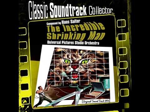 The Incredible Shrinking Man