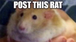 Post This X | Know Your Meme