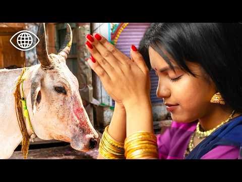 Animals and the Sacred: At the Heart of Spiritual India ⎮World Documentary⎮MDW