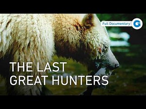 Bears: Masters of the Wilderness | Full Wildlife Documentary