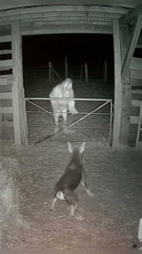 Is This a Demon… or Something Even Worse Caught on CCTV? 😨👁️#horror #scary #halloween