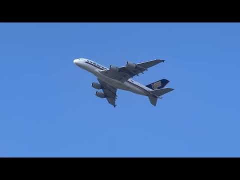 I bumped into the Slinger at Sainsbury’s ✈️