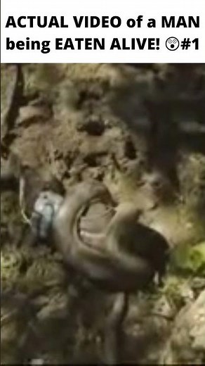 ACTUAL FOOTAGE of a MAN being EATEN ALIVE by A GIANT ANACONDA/ PART 1