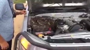 Not what you expect to find under there. | Shiply