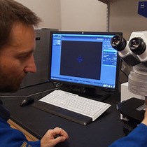 Video: Mapping Metabolism: Monitoring Lactate Dehydrogenase Activity Directly in Tissue