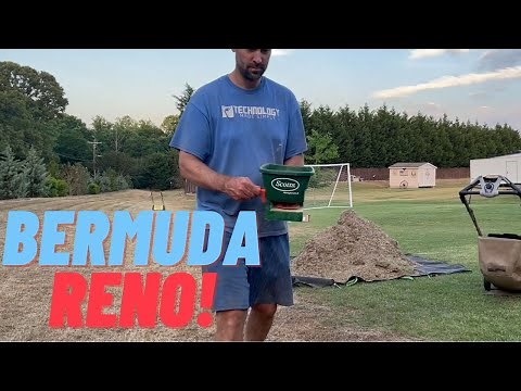 How to Establish Bermudagrass From Seed