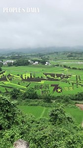 22K views · 2.5K reactions | Splendid paddy field art display in Liuzhou, Guangxi celebrating the 70th anniversary of the founding of the People's Republic of China | People's Daily, China | Facebook