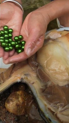 22Giant Mutant Clam Found in River, Girl Discovers Valuable Pearl Inside