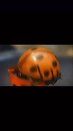 Marcelo Zb | InteliTrend on Instagram: "O anúncio “Ladybug” do Peugeot 207 foi uma campanha publicitária criativa que marcou a comunicação automóvel nos anos 2000. Produzido pela agência Euro RSCG Brussels para o mercado europeu, o filme destaca uma joaninha animada como protagonista num cenário inesperado — um carro — transformando a atenção para design e sensação de condução de forma lúdica e memorável 🐞🚗. ￼ O Peugeot 207 foi lançado em 2006 nos mercados de França, Espanha e Itália, com a ca
