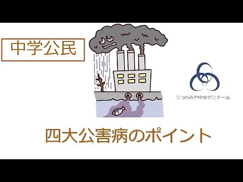 四大公害病のポイント