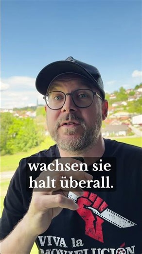 Eine bayerische Idee? 🌲🫐