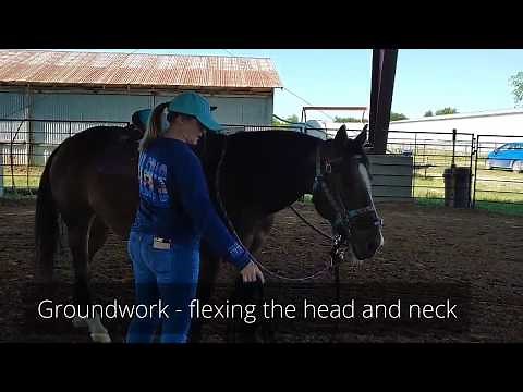 Adult beginner Western Riding lessons - Groundwork for respect and control, moving the entire horse