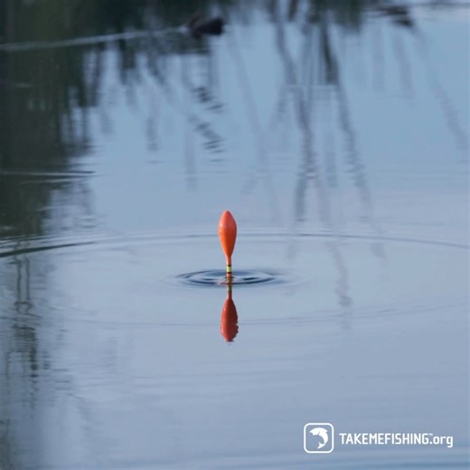 Wait for it… wait for it… NOW! Tips on how and when to set the hook when fishing. https://bit.ly/45wt0px | Take Me Fishing