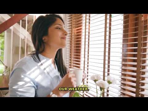 200 Incredible Facts About Weather patterns in 60 seconds