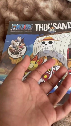 Armando el thousand sunny dia 1