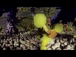 Panorama View from the Cell Membrane