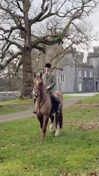 Rarest house in the world: Slow Walkthroughs of Luxury Unique Real Estate Experience / aesgium News