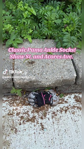 SocksOnMyWalks on TikTok