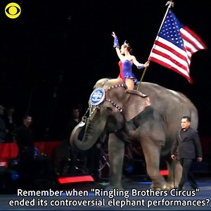 34K views · 1.8K reactions | The Ringling Bros. and Barnum & Bailey elephants are finally getting the retirement home they deserve. Wednesday on CBS This Morning, we'll show you the expansive new habitat built just for them.   | CBS Mornings | Facebook