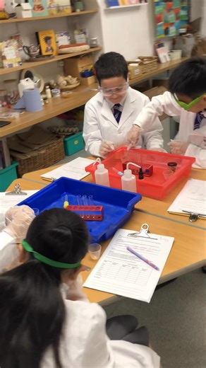 Testing for protein, lipids (fats), carbohydrates, and sugar. | Forest Preparatory School