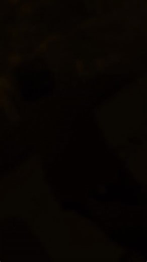 ✨ Elegante, poderoso e inteligente. El nuevo HONOR X7D redefine lo que significa tener un smartphone con estilo, potencia y tecnología que se adapta a ti. ● Pantalla de 6.77″, amplia y envolvente, donde cada detalle cobra vida con colores vibrantes y una claridad impresionante. ● Reconocimiento facial y sensor de huella lateral para un acceso rápido y seguro. ● Protección IP65 contra el agua y certificación SGS 5 estrellas frente a caídas ● Procesador Qualcomm Snapdragon 685 - 8 GB/256 GB de alm