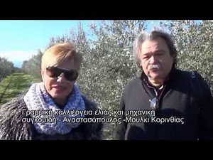 ΓΡΑΜΜΙΚΗ ΚΑΛΛΙΕΡΓΕΙΑ ΕΛΙΑΣ ΚΑΙ ΜΗΧΑΝΙΚΗ ΣΥΓΚΟΜΙΔΗ - ΑΝΑΣΤΑΣΟΠΟΥΛΟΣ- ΜΟΥΛΚΙ ΚΟΡΙΝΘΙΑΣ