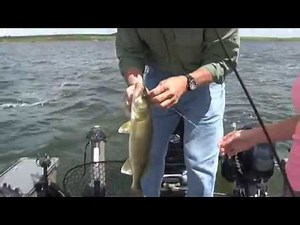 Walleye Fishing Webster SD Lakes 2014