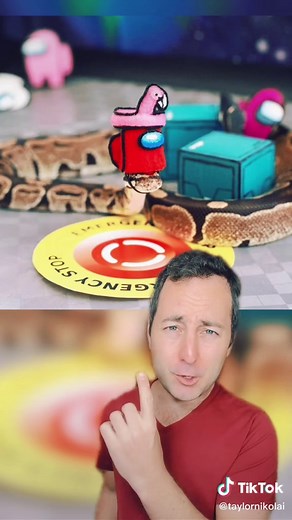 Adorable Snakes Wearing Hats Compilation