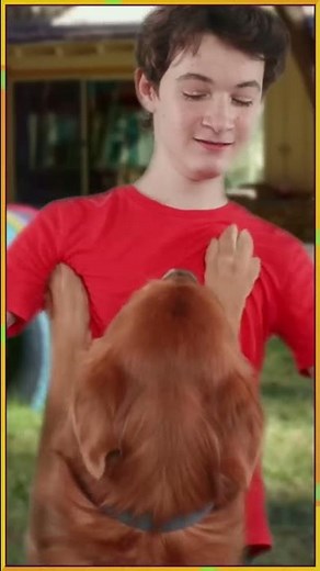 Roman Helps Golden Retriever Find A Home | Roman To The Rescue | ‪@disneychannel‬ x ‪@TheDodoKids‬