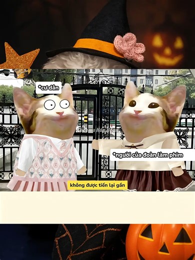 chỗ có đoàn phim ? #cheems #cheemsmeme #viral #xh