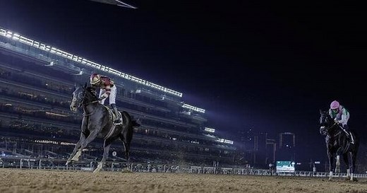 Dubai Racing Carnival sees record overseas wins with 130 international horses at Meydan