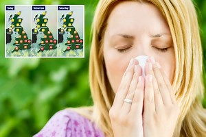 What is the pollen count today in the UK?