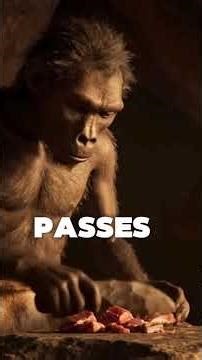 Australopithecus (meaning "southern ape"