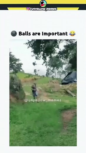 Man Plays with Sheep in Rural Setting
