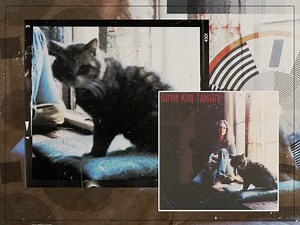 The story of a cat on Carole King's 'Tapestry'